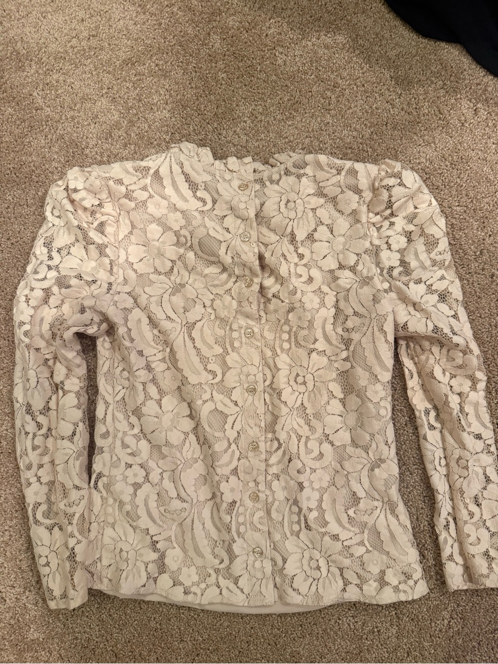 Rachel Parcell Ruffle Neck Lace Top - Picture 2 of 3